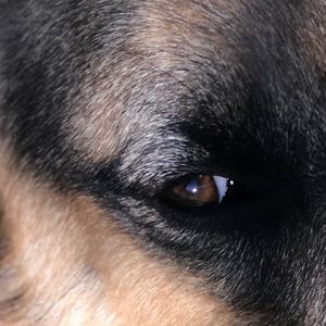 Meet your Posher, Kenia